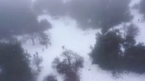 Children playing in the snow Stock Footage 170190290