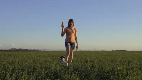 Children playing in the summer field with grass and blue sky Stock Footage 111598896