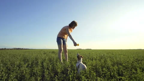 Children playing in the summer field with grass and blue sky Видео 111599124