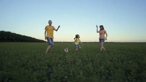 Children playing in the summer field with grass and blue sky Stock-Footage 111599645