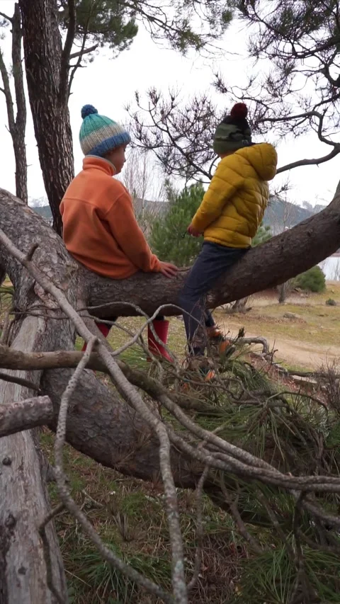 Children playing together sitting on the trunk of a tree in winter clothes Stock Footage 261580379