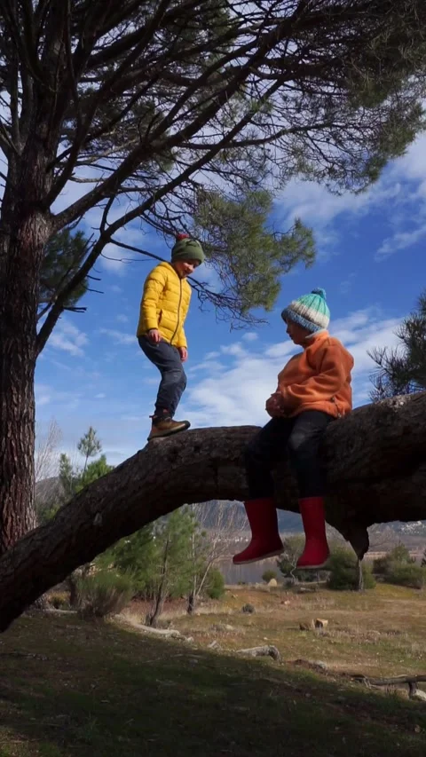 Children playing on top of a tree trunk in the forest with winter clothes Stock Footage 261580368