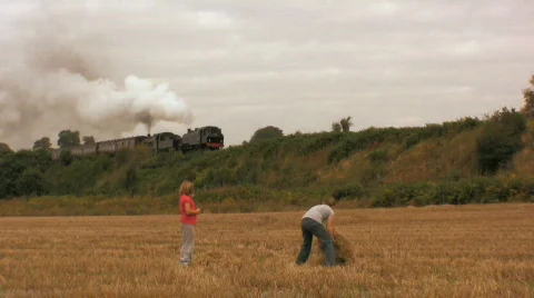 Children playing in a wheat field Stock Footage 521803