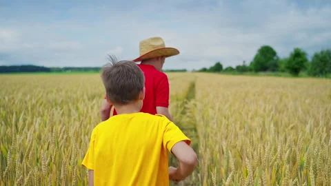 Children playing in wheat field Stock Footage 135602590