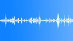 Children Playing on Winter Hill - Screaming Children (denoised) 02Sound Effect