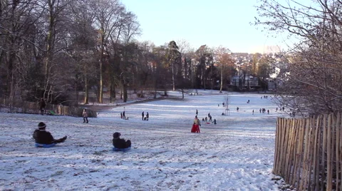 Children playing in winter park. Stock Footage 45598317