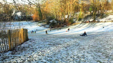Children playing in winter park. Stock Footage 58167114