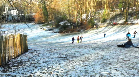 Children playing in winter park. Stock Footage 58167537
