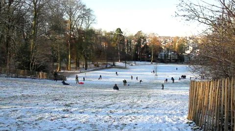 Children playing in winter park. Stock Footage 58167804