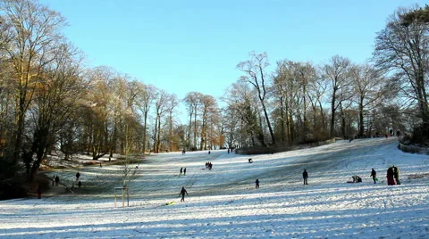 Children playing in winter park. Stock Footage 58168530