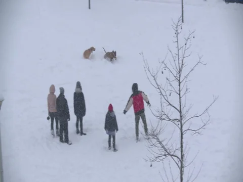 Children playing  in winter snow Stock Footage 73284229