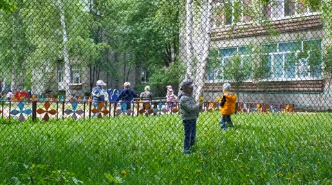 Children pluck a flowers Stock Footage 50358718