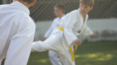 Children practising Tai Chi Stock Footage 29665688