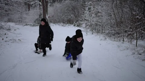 Children pull sleds up the hill for descent Stock Footage 257967006