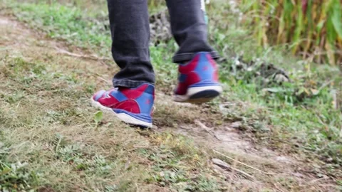 The children ran away in the fields and grass Stock Footage 164634916