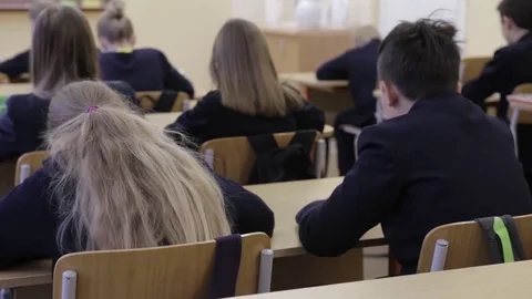 Children reading at the desk in elementary school lesson Stock Footage 85326313