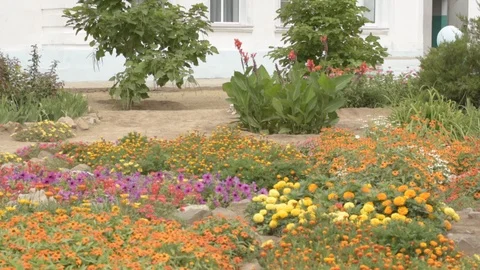 Children return to school. beginning of new school year after summer holidays Stock Footage 93164766