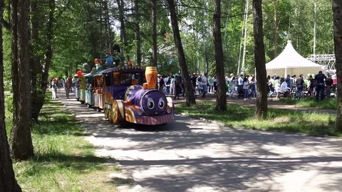 Children ride the train in the park Stock Footage 109048581