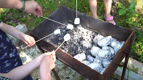 Children roast marshmallows at the stake. Marshmallows are warming over the heat Video stock 156223652