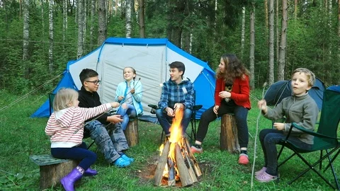 Children roasting marshmallows on camp fire outdoor Stock Footage 114564567
