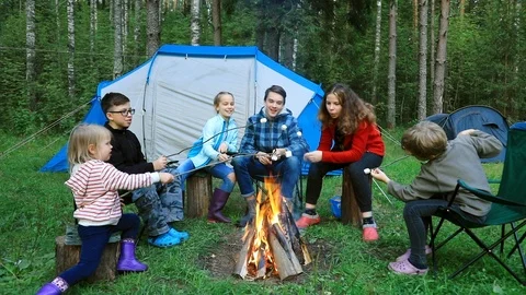 Children roasting marshmallows on camp fire outdoor Stock Footage 114616927