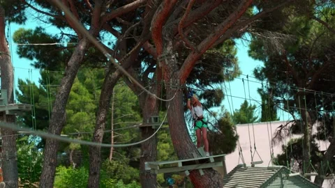 Children in the rope park Stock Footage 133605648