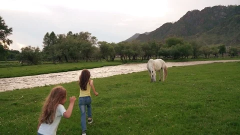 Children run across the field. two little girls running through a meadow where Stock Footage 77009044
