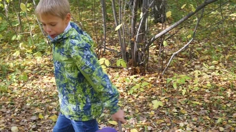 Children run along the path in Park in autumn Vidéo 68027449
