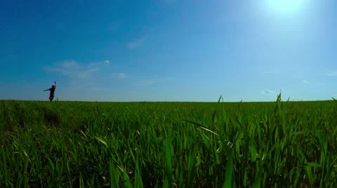 Children run in the meadow with a kite Stock Footage 51400436