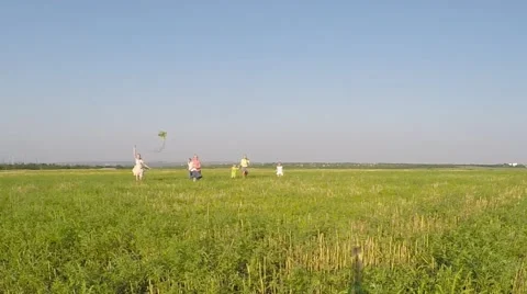 Children run in the meadow with a kite Stock Footage 53307246