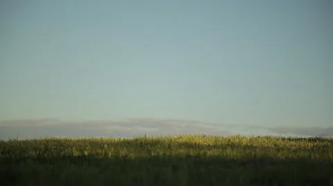 Children run (slow mo optical flow FCPX) Stock Footage 56185736