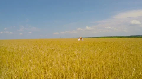 Children run through the field of wheat and rejoice. 库存影片 51464370