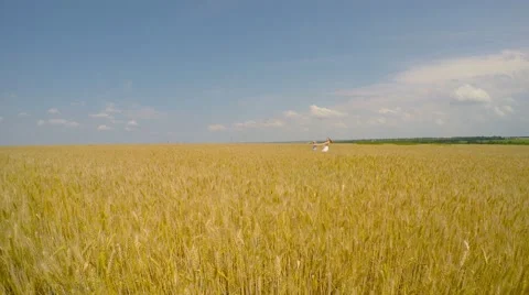 Children run through the field of wheat and rejoice in a circle 動画素材 51464372
