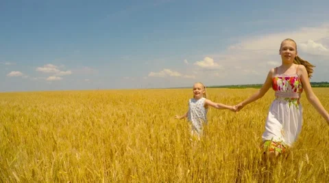 Children run through the field of wheat and rejoice with each other  Stock-Footage 51464406