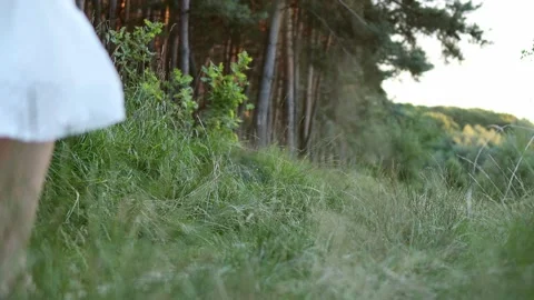 Children run through the pine forest, the concept of friendship, freedom and hap Stock Footage 202247842