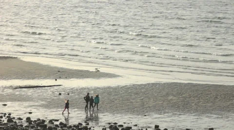 Children Running and Playing on Beach Video stock 25156277