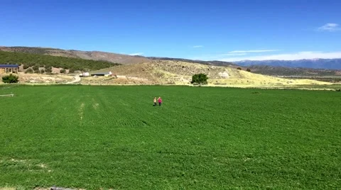Children running through field HD  Stock-Footage 68714749