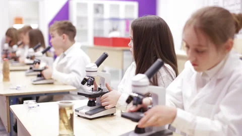 Children at school looking into microscope Stock Footage 87166600