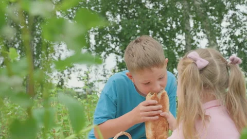 Children sharing bread, Siblings enjoying picnic outdoors, Caucasian siblings Stock Footage 324869648