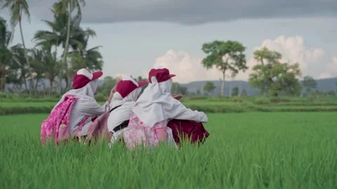 Children sit in the green rice fields Stock Footage 266092431