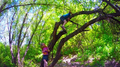 Children sit on a tree in the woods 库存影片 51400828