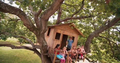 Children sitting on edge of treehouse in green leafed tree Stock Footage 61288198