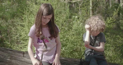 Children sitting on a log in the forest Video stock 132367744