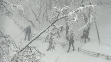 Children of sled in winter Video stock 85706613