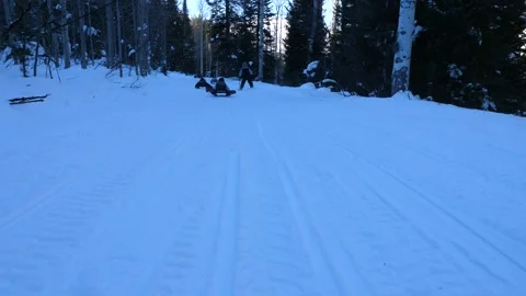 Children Sledding Down a Hill on Snow Stock Footage 266093140
