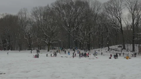 Children sledding in the park Stock Footage 265846988