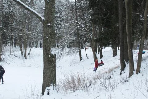Children sledding in the park Stockfoto's