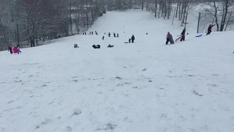 Children Sledding in Virginia Video stock 330274581