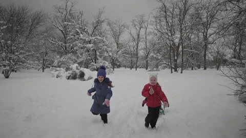 Children sledding in winter in the park Stock Footage 170284949
