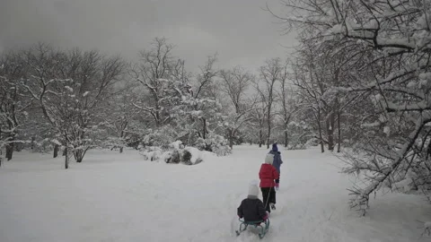 Children sledding in winter in the park Stock Footage 170285252